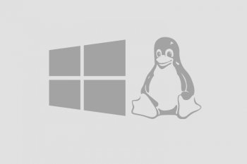 Windows en Linux specialist