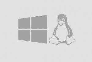 Windows en Linux specialist